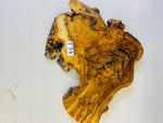 Live Edge Olive Wood Resin Side Table – Black Resin Burl, 23.6 × 19.7 in (One of a Kind, T34) 1IaTn6sgfNfAhEXJkYsr67_MF97CFHlwJ