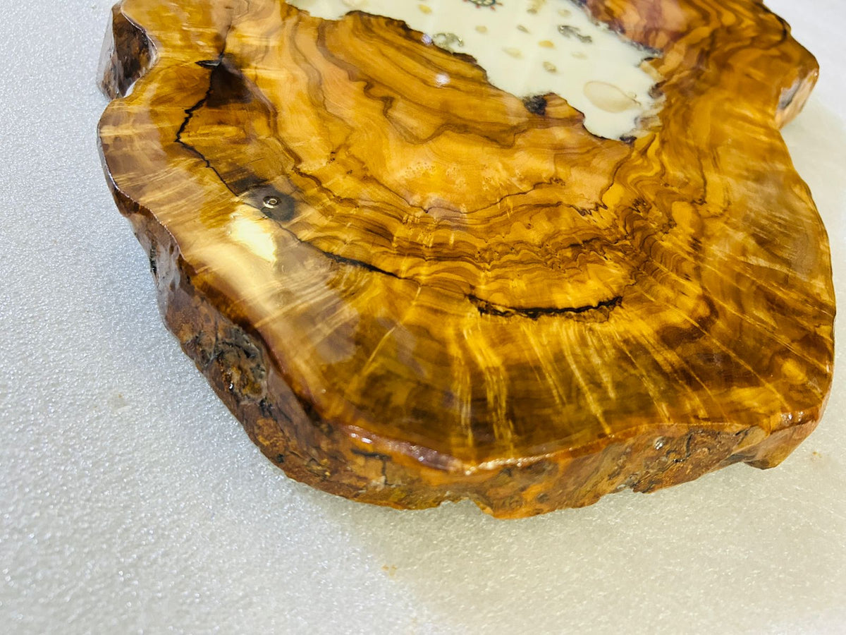 Live Edge Olive Wood Resin Side Table – White Resin Nautical Charms, 20.9 × 12.6 in (One of a Kind, T28) 1bfZIzC7GOsXwu692NWjNA8zCha0WkxQU