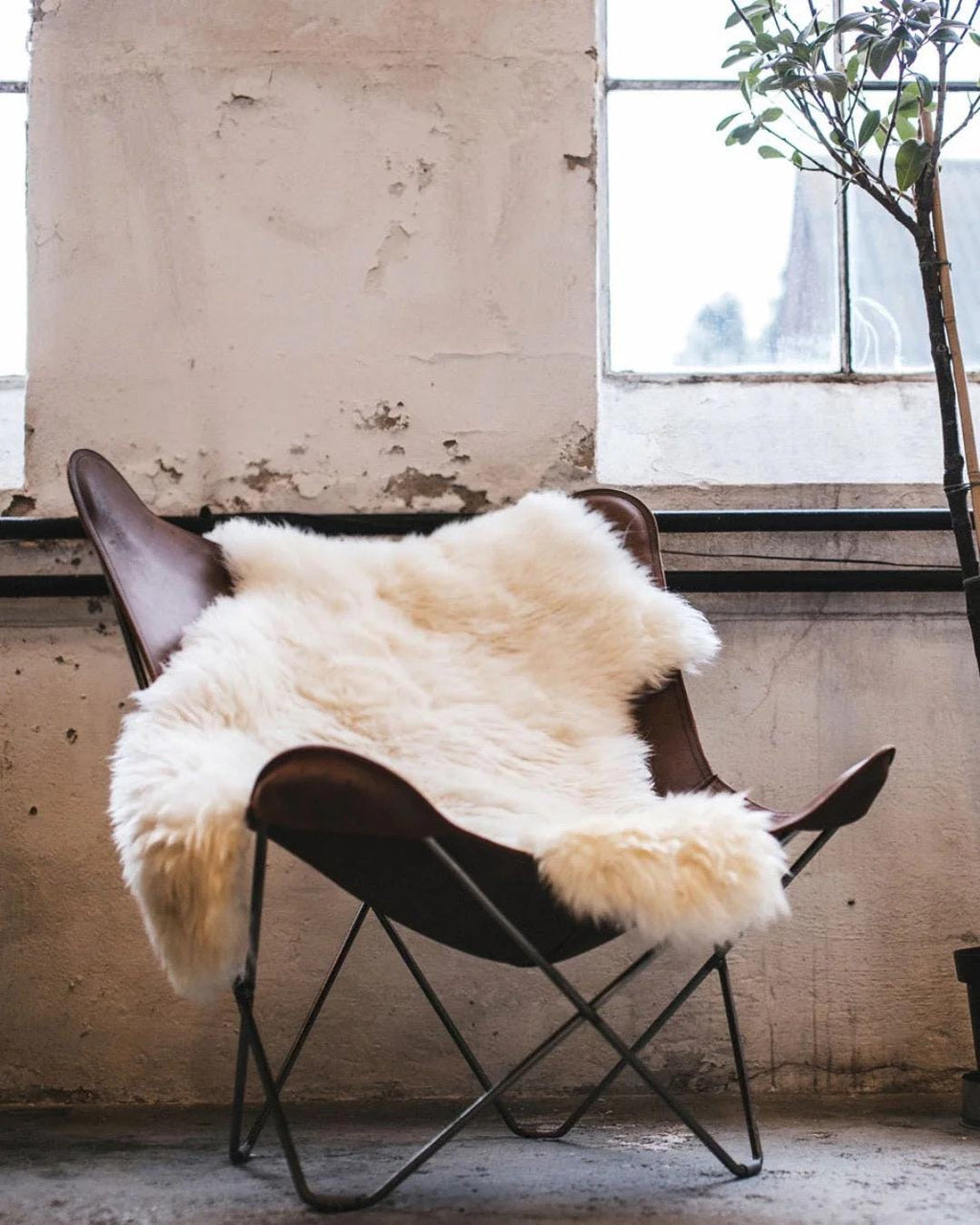 Sheepskin Hide Rug – Authentic Handmade Wool Carpet | Rustic & Cozy Home Decor | Original sheep leather
