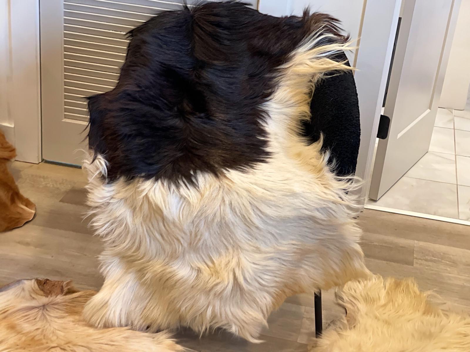 Handmade Natural Goatskin Rug: Rustic Home Decor