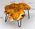 AI-styled view of Zitun Atelier table 034, an olive wood resin side table with black resin burl, on a light background with measurement annotations.