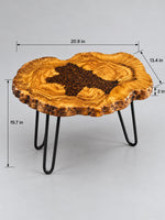 Live Edge Olive Wood Resin Side Table – Coffee Bean Resin, 20.9 × 13.4 in (One of a Kind, T72) zitun-atelier-072-olive-wood-resin-side-table-photo-04